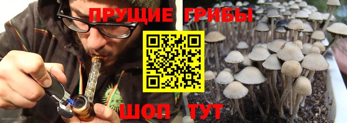 Галлюциногенные грибы ЛСД  Вход с VPN  Нововоронеж  Псилоцибиновые грибы мухоморы 